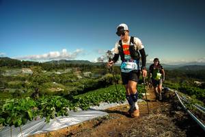 BIB: 960
                            <button type="button" onclick="openModal(19123067)" class="btn btn-primary btn-sm float-right btn-popup" data-toggle="modal" data-target=".modal-high-quality">
                        <i class="fas fa-shopping-cart"></i> Add to Cart
                    </button>
                                            <button type="button" onclick="isThisMe(19123067, true)" class="btn btn-success btn-sm float-right btn-popup btn-isme hidden" data-toggle="tooltip" data-placement="bottom" title="นี่คือรูปของคุณใช่ไหม คลิกที่นี่เพื่อเอาเข้าอัลบั้ม">
                        <i class="fas fa-plus"></i> Add to album
                    </button>
                    <button type="button" onclick="isThisMe(19123067, false)" class="btn btn-warning btn-sm float-right btn-popup btn-isnotme hidden">
                        <i class="fas fa-ban"></i> Remove from album
                    </button>